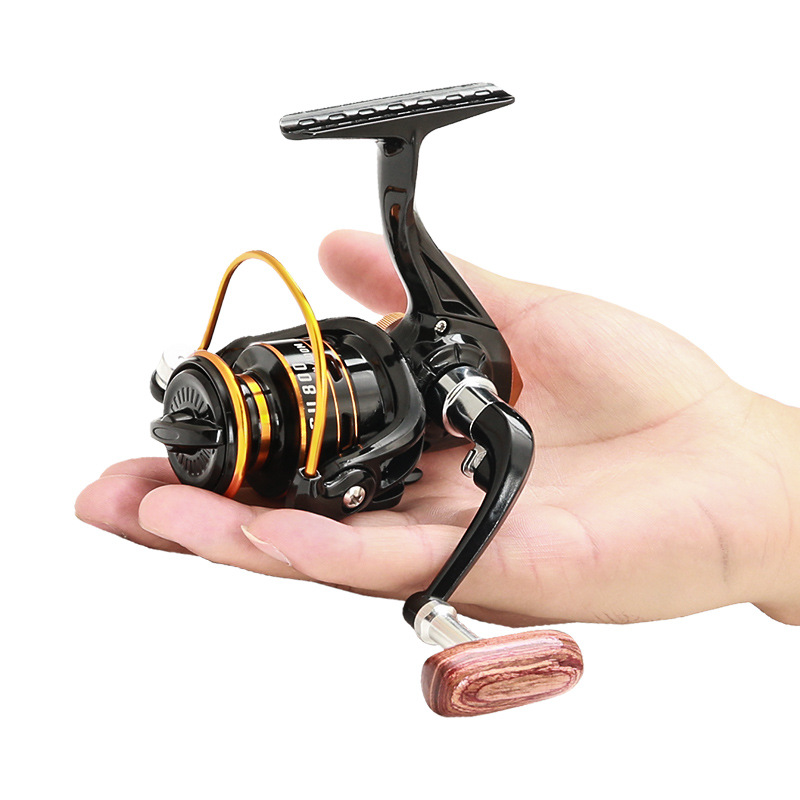 800 Series Small Spinning Fish - Daiwa Reel Bg review and price
