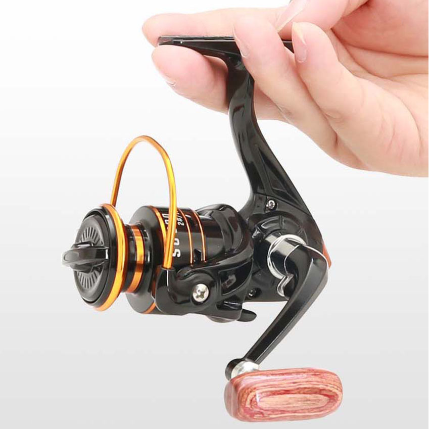 800 Series Small Spinning Fish - Daiwa Reel Bg review and price
